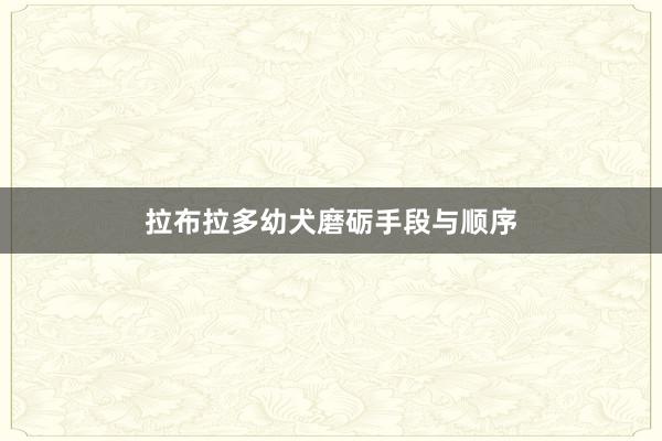 拉布拉多幼犬磨砺手段与顺序